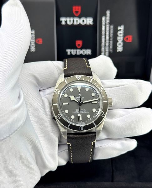 Tudor Black Bay 58 M79010SG-0001